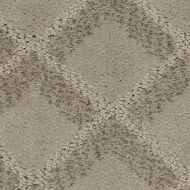 Graceful View carpet by Mohawk